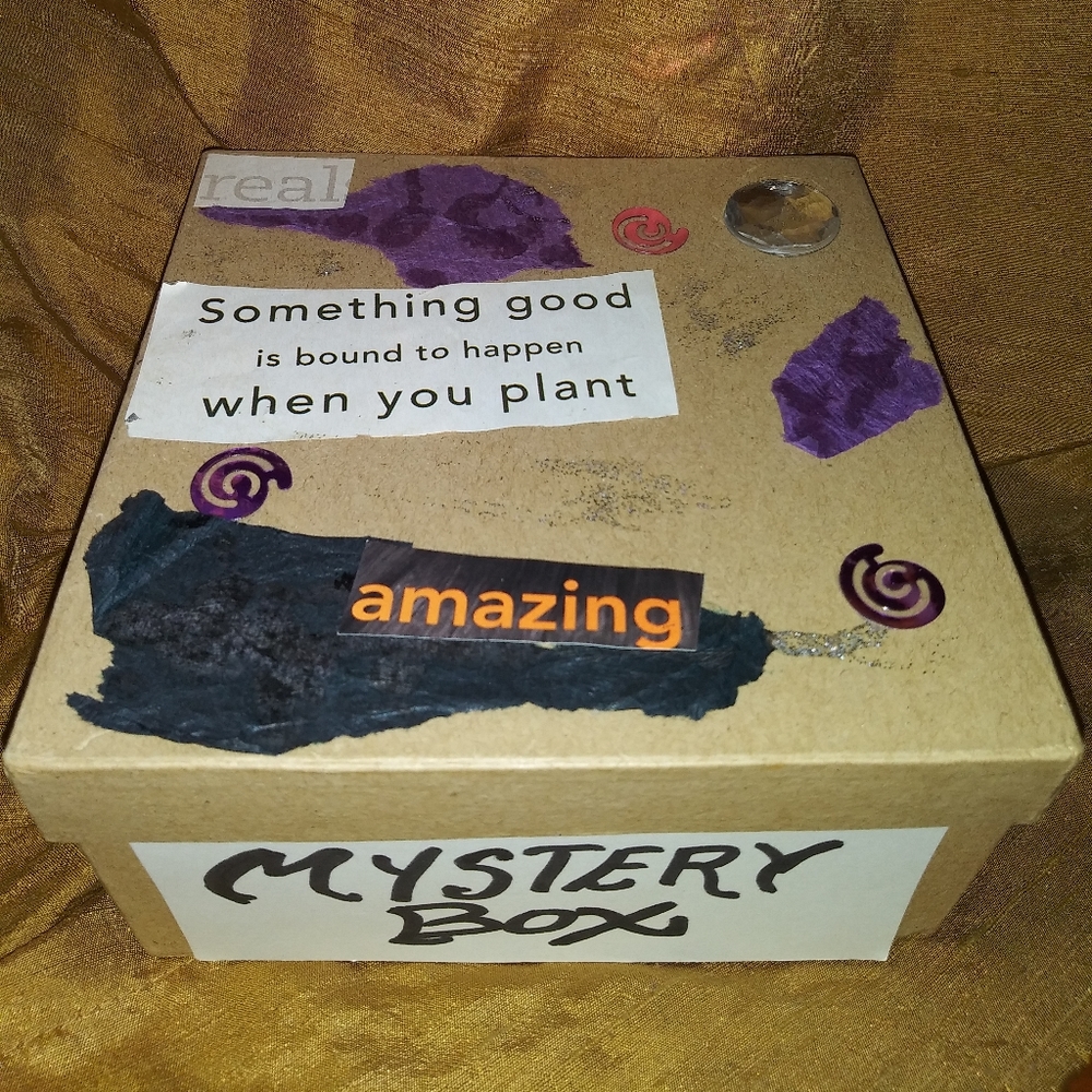 Mystery Box of Home Decor, Silver, Black, & Blues